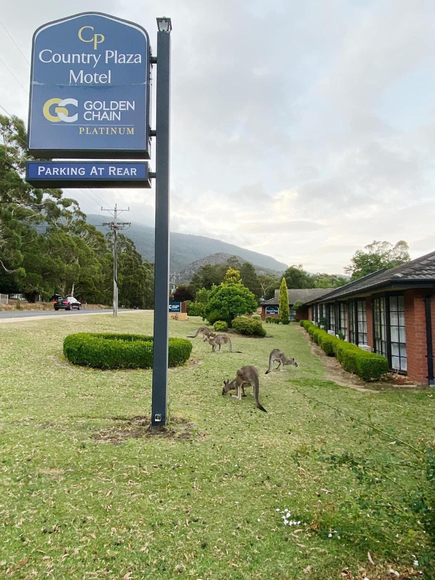 Golden Chain Country Plaza Motel 霍尔斯加普 外观 照片