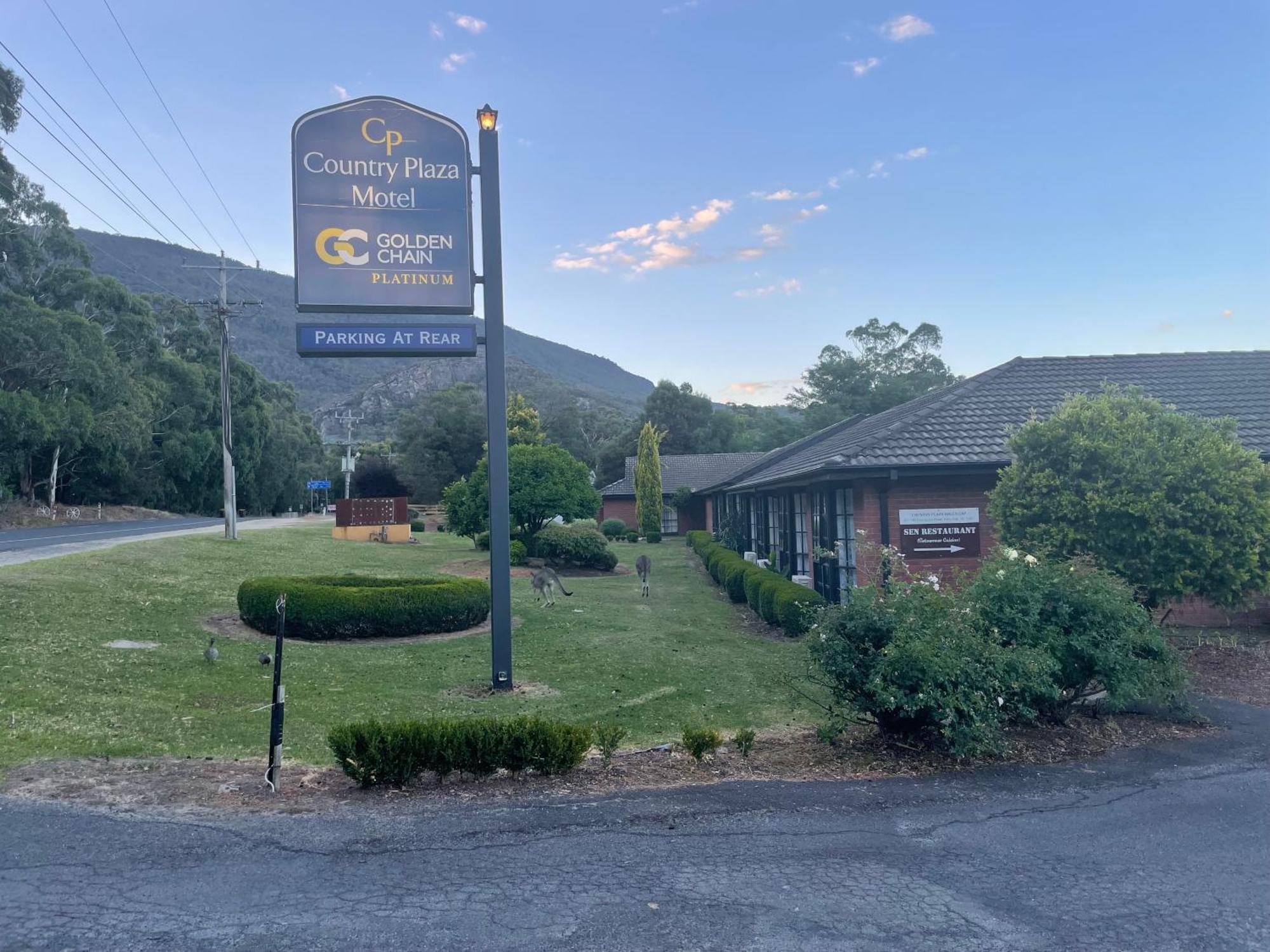 Golden Chain Country Plaza Motel 霍尔斯加普 外观 照片